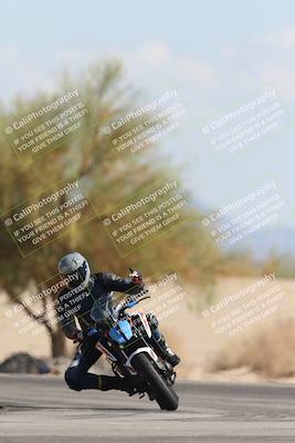 media/Oct-13-2025-Moto Forza (Mon) [[a66d839500]]/3-B Group/Session 4 Turn 4 Tree of Life/